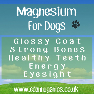 Dogs and Magnesium Deficiency