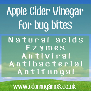 ACV and Insect Bites