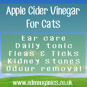 ACV For Cats
