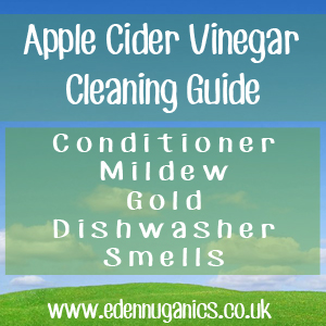 ACV Cleaning Guide