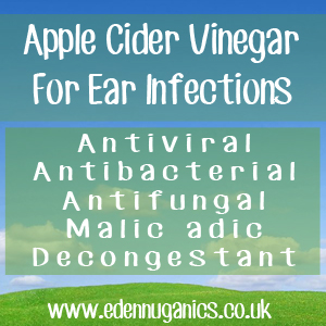 ACV Ear Infections