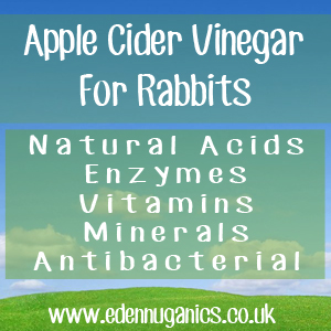 ACV Rabbit Keepers