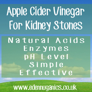 ACV Gallstones & Kidney Stones