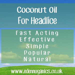 Coconut Oil for Head Lice