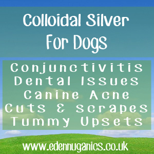 Colloidal Silver for Dogs