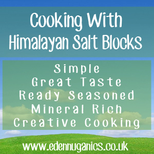 Cooking with Himalayan Salt Blocks