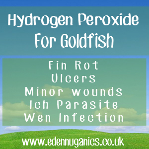 Hydroden Peroxide for your Goldfish