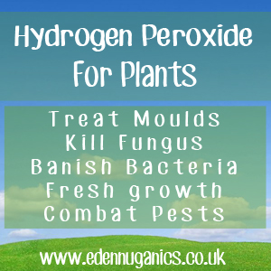 Hydroden Peroxide for Your Plants