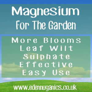 Garden Magnesium Uses